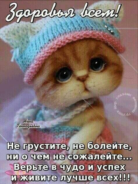 Стратегия 60%