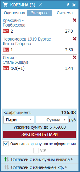 Окно купона на сайте