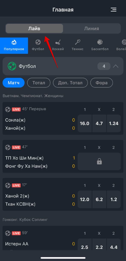 Раздел «Лайв»