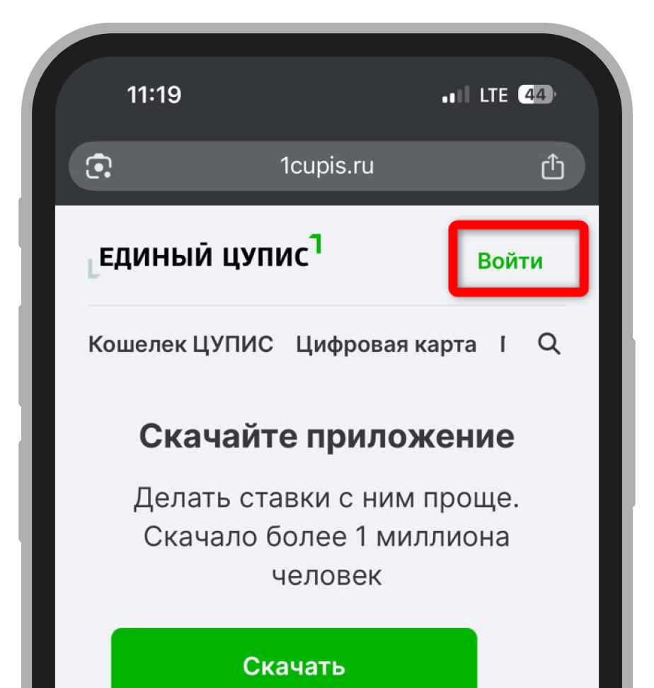Кнопка «Войти» на сайте ЦУПИС