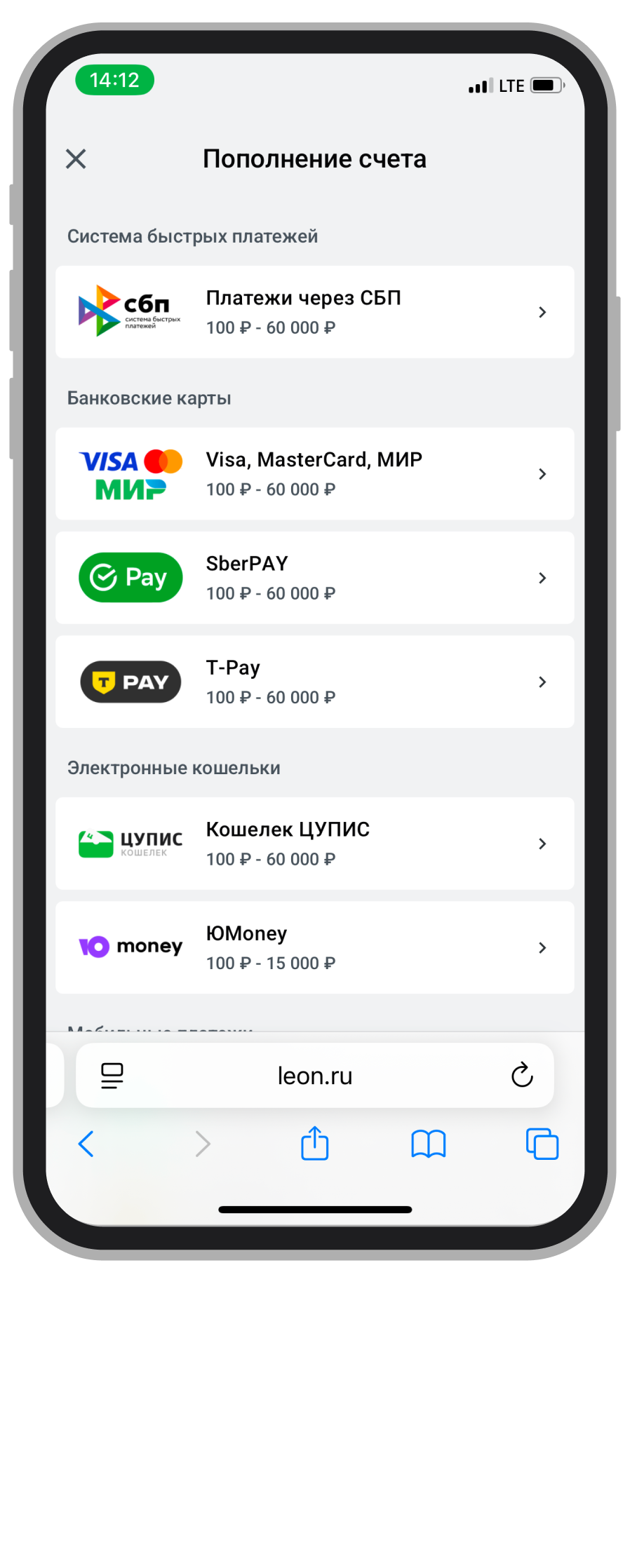 Выбор способа внесения средств