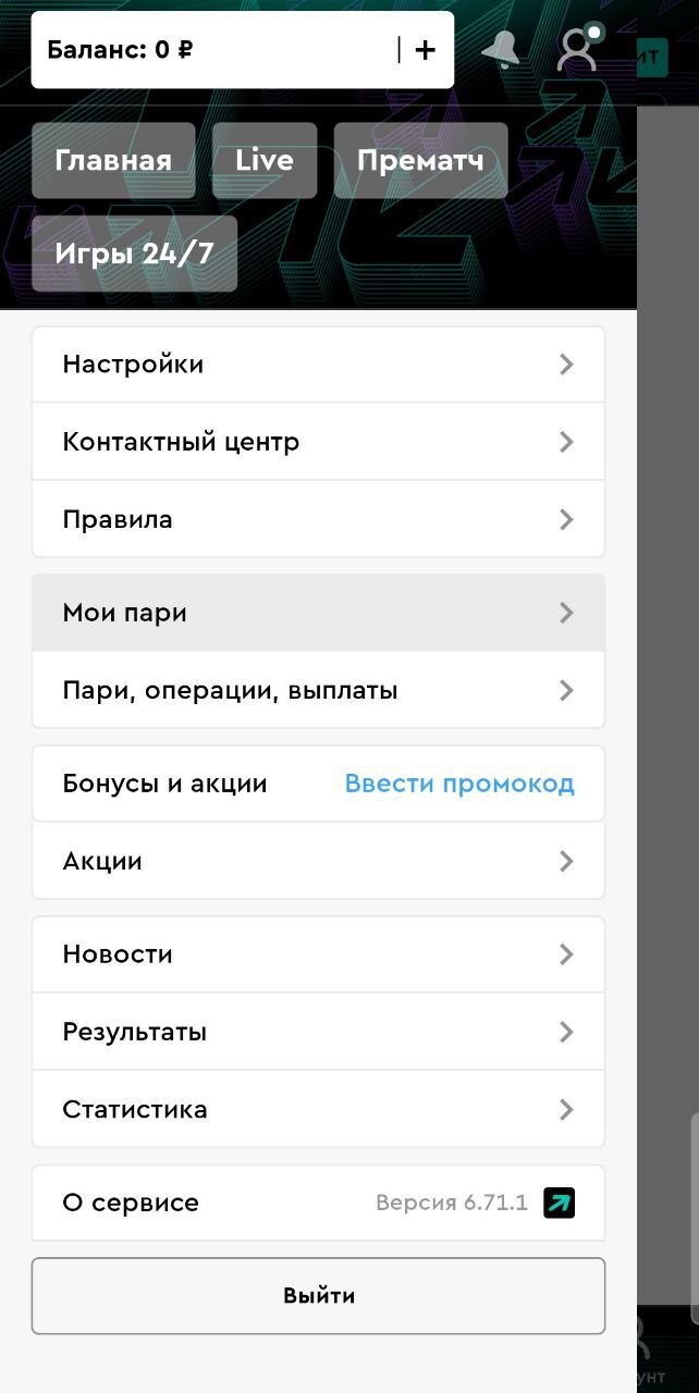 Профиль игрока в мобильном приложении