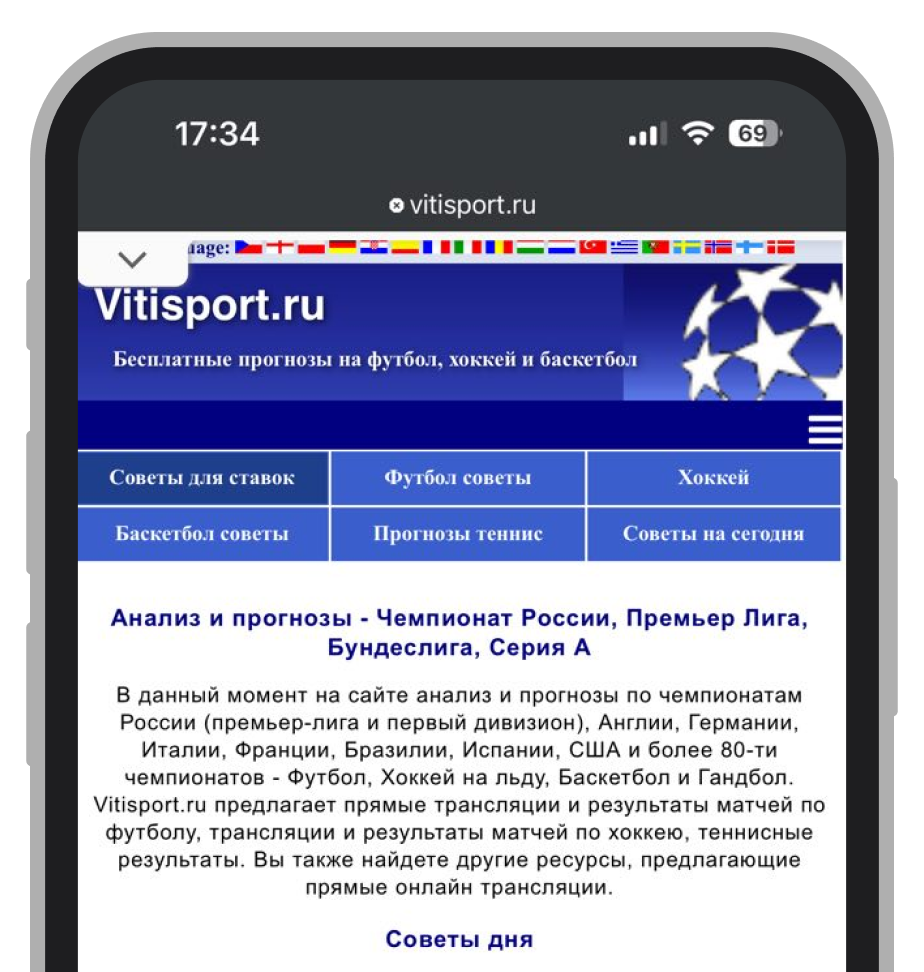 Мобильная версия сайта Vitisport