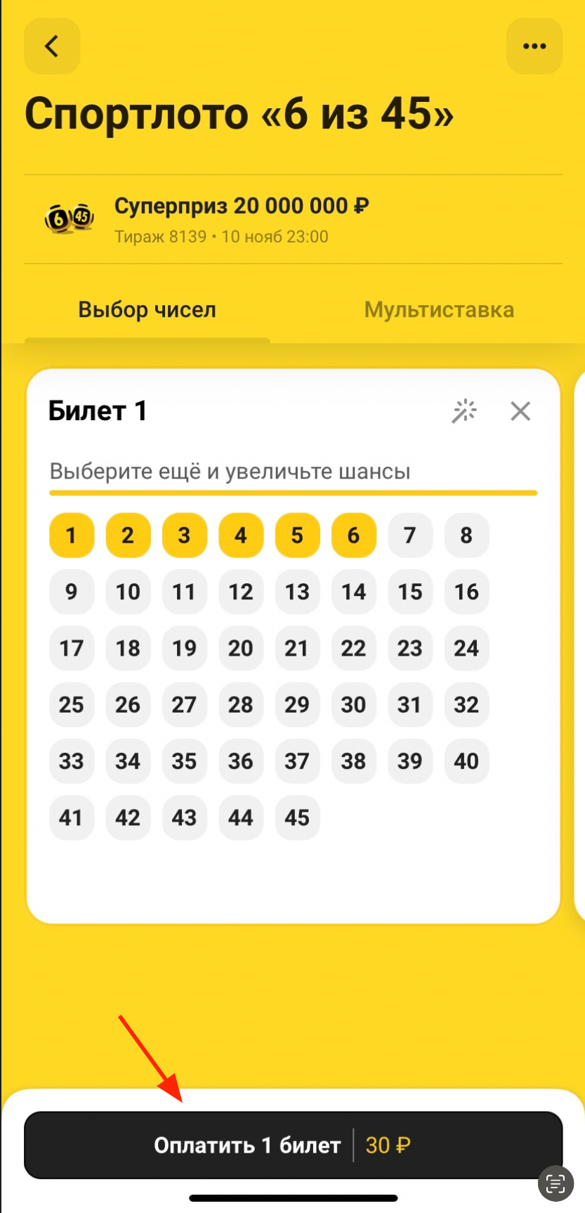Кнопка оплаты