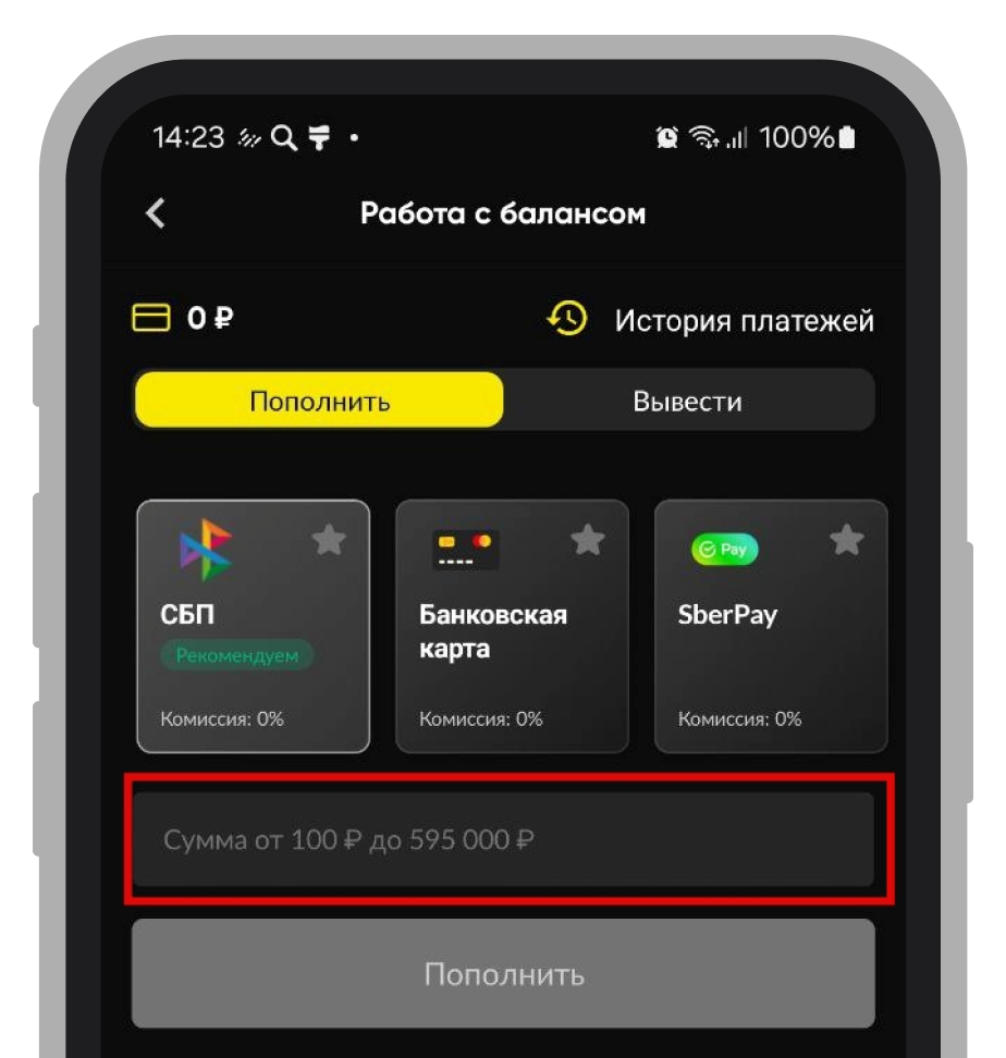 Выбор способа пополнения и суммы