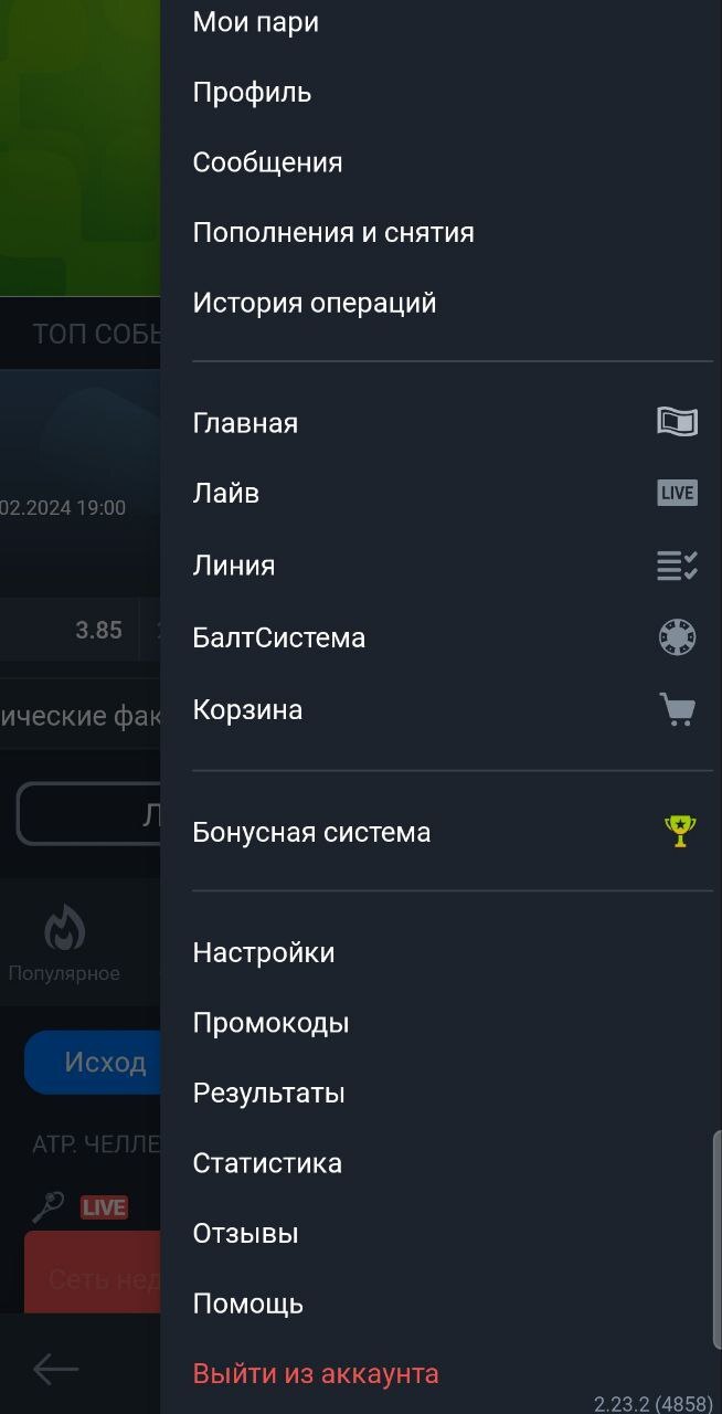 Меню в мобильном приложении