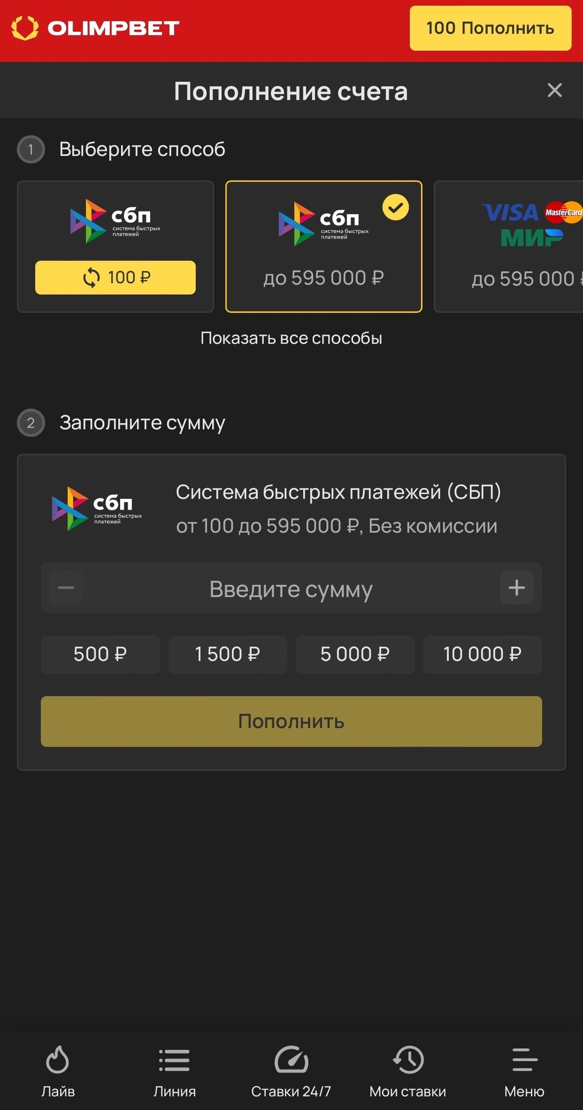 Страница внесения депозита через иконку «кошелёк»