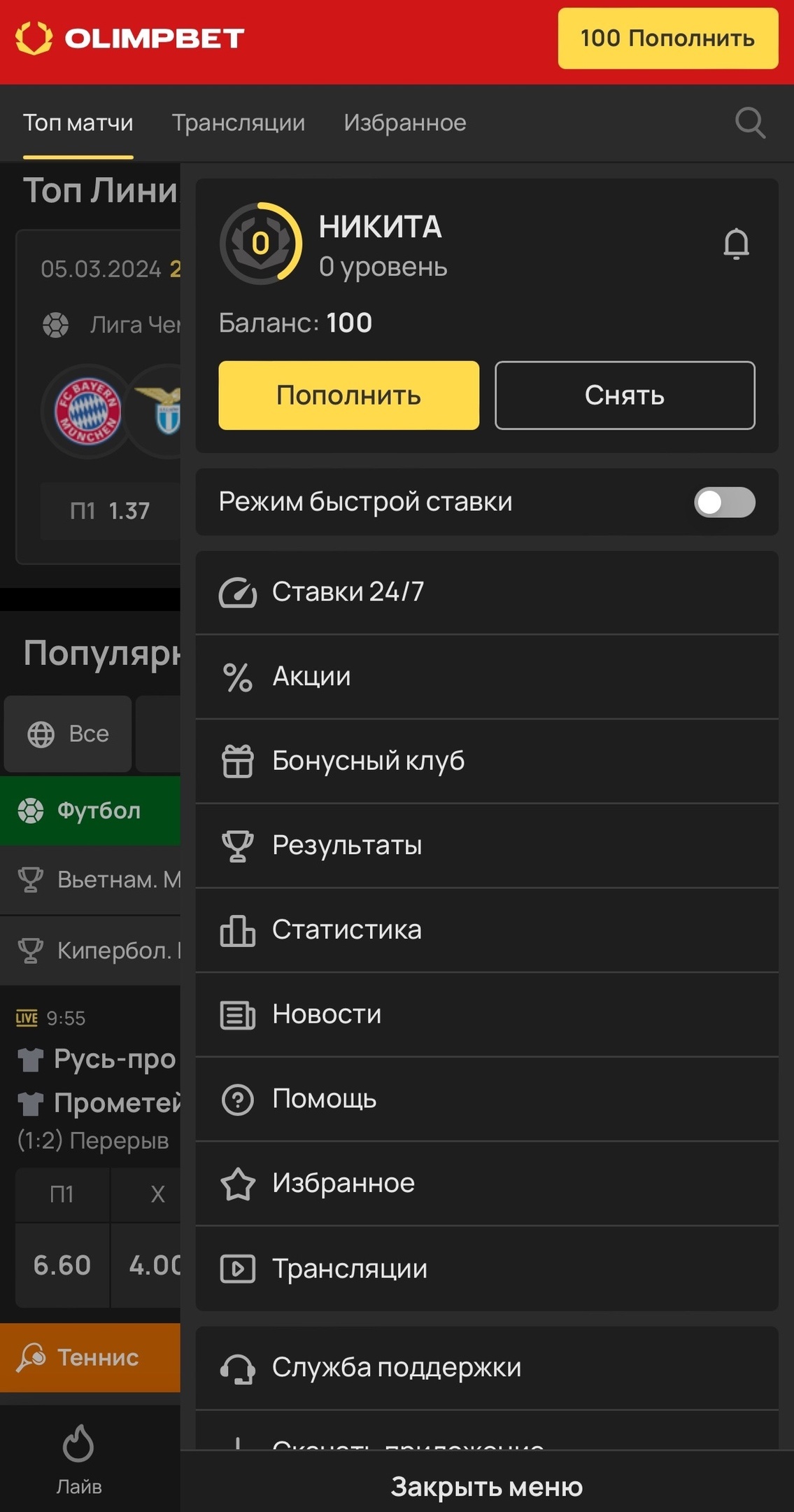 Меню профиля на сайте