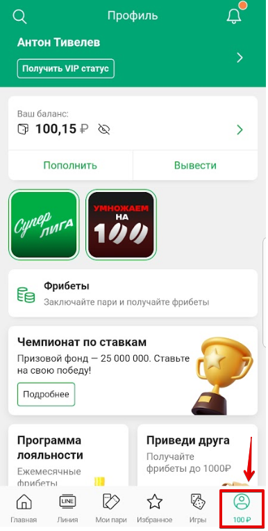 Профиль игрока в мобильном приложении «Лига Ставок»