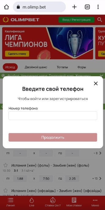 Поле для ввода номера телефона