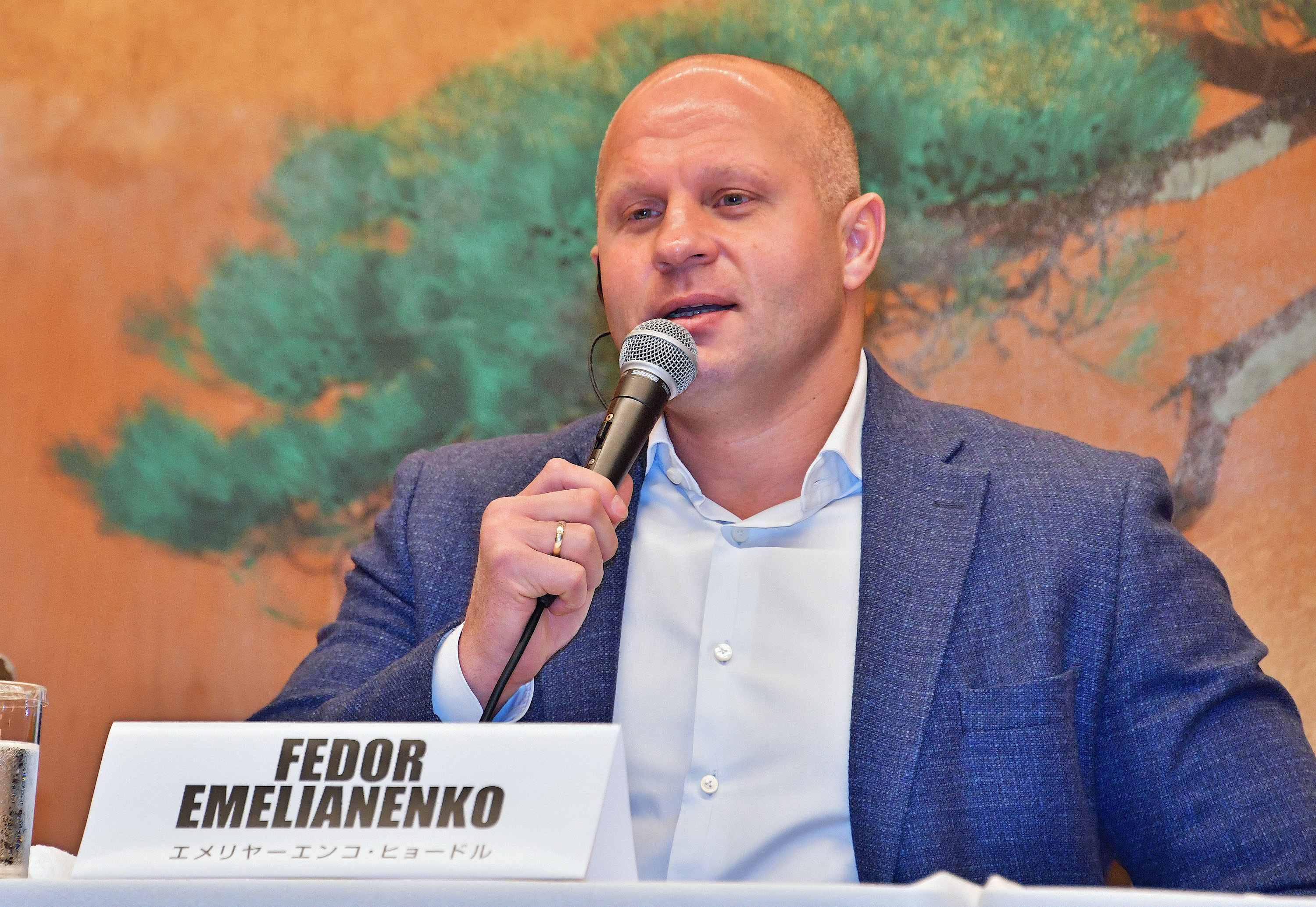емельяненко бейдер прогноз