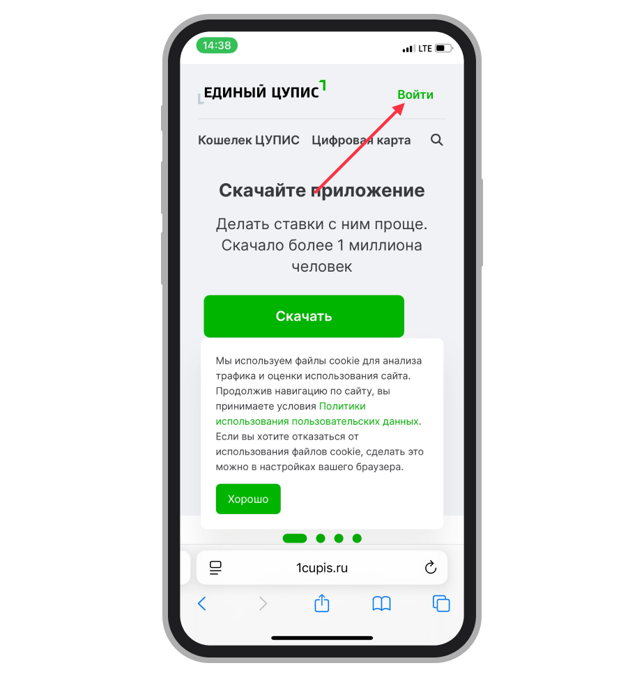 Стартовая страница ЦУПИС