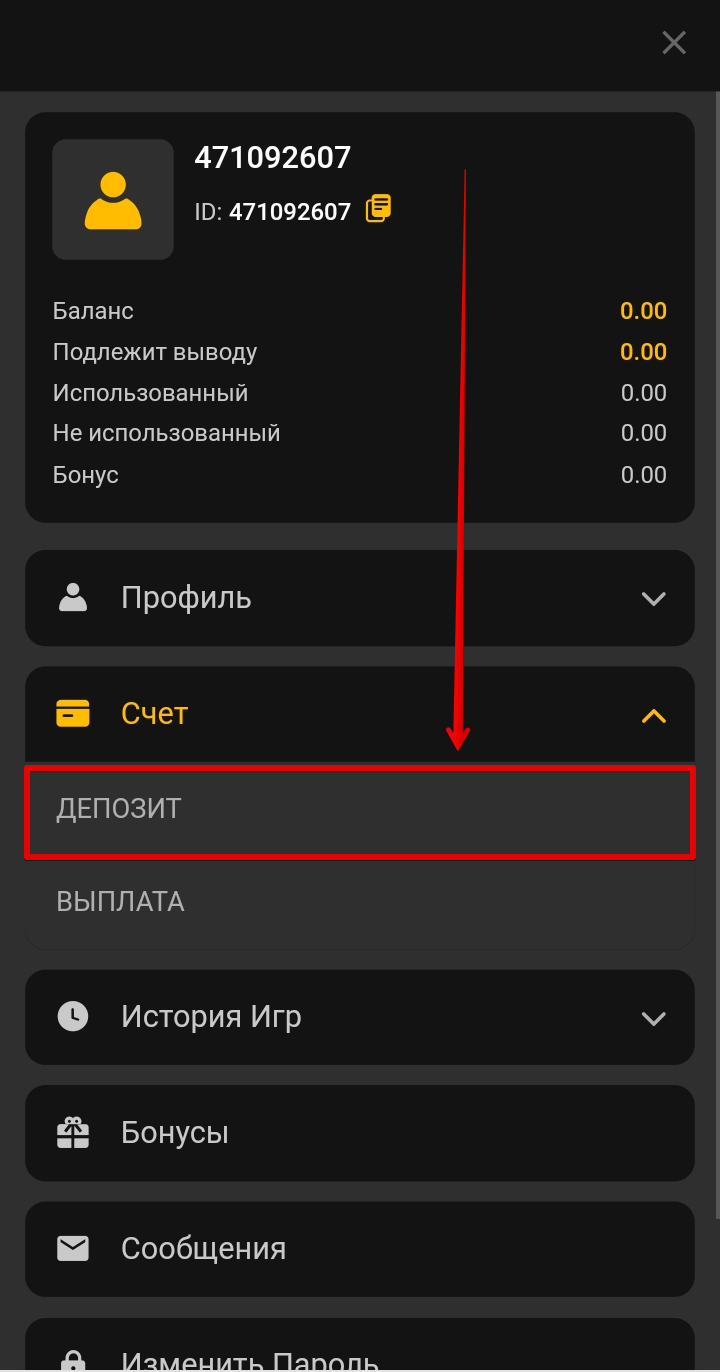 Пополнение счёта на сайте
