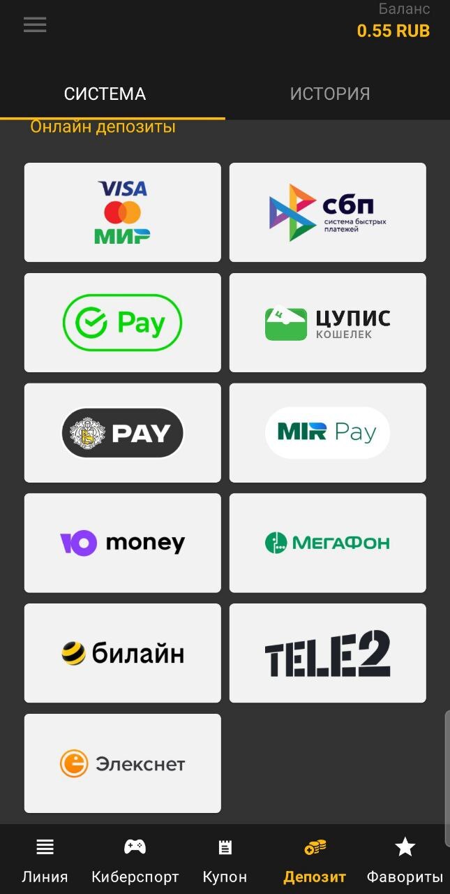 Способы пополнения счёта, Экран вывода средств