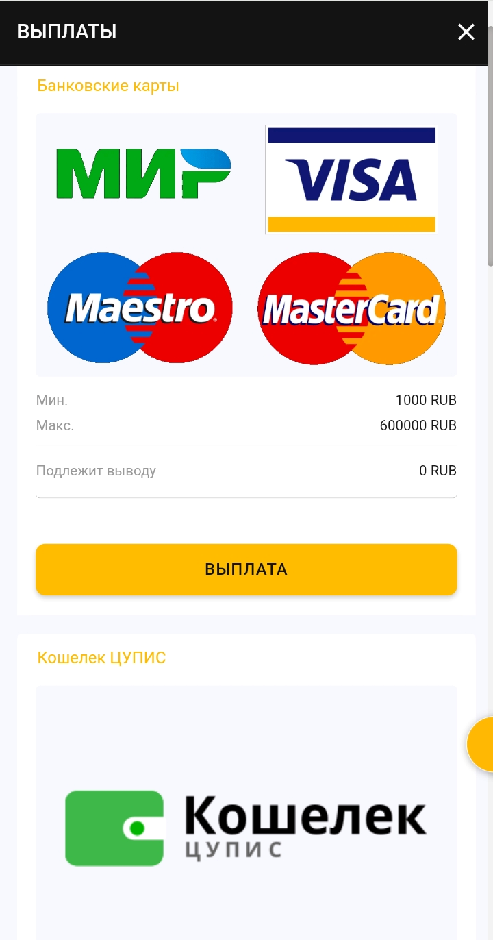 Вывод средств в меню профиля