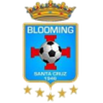 Логотип Blooming